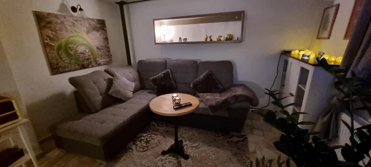 Monteur-Ferienwohnung Ot Naundorf Naundorf  외부 사진